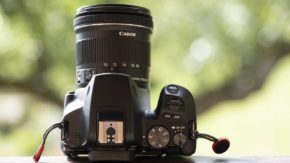 Canon EOS Rebel SL3 / EOS 250D Review