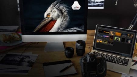 How to setup and change monitor profiles for video and stills