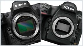 Nikon Z8 vs D850