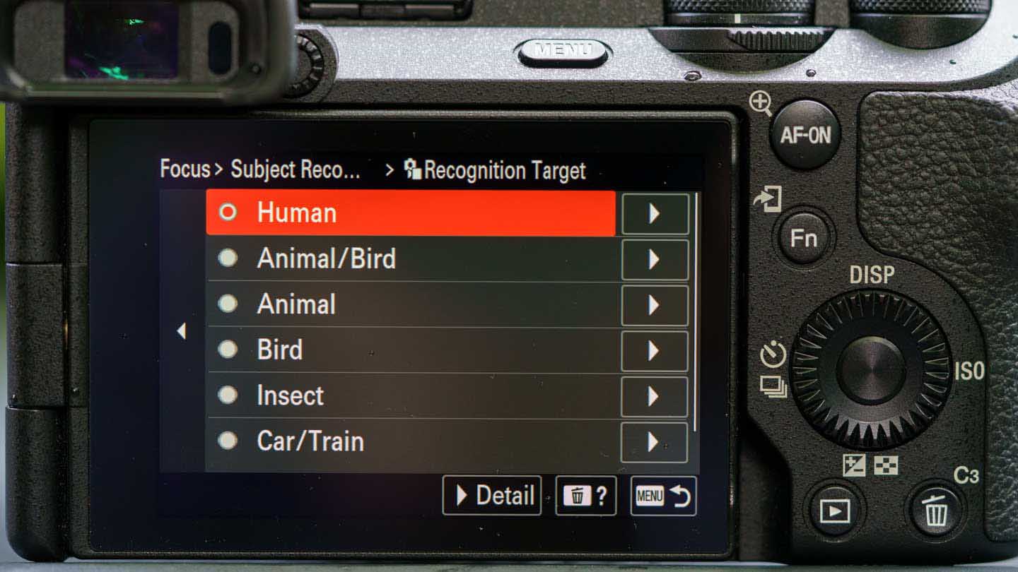 Sony A6700 review: Subject Recognition modes